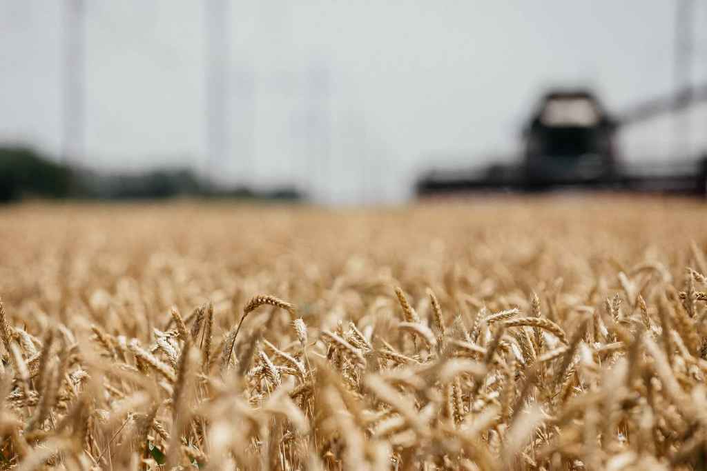 В Казахстане выросло кредитование сельского хозяйства