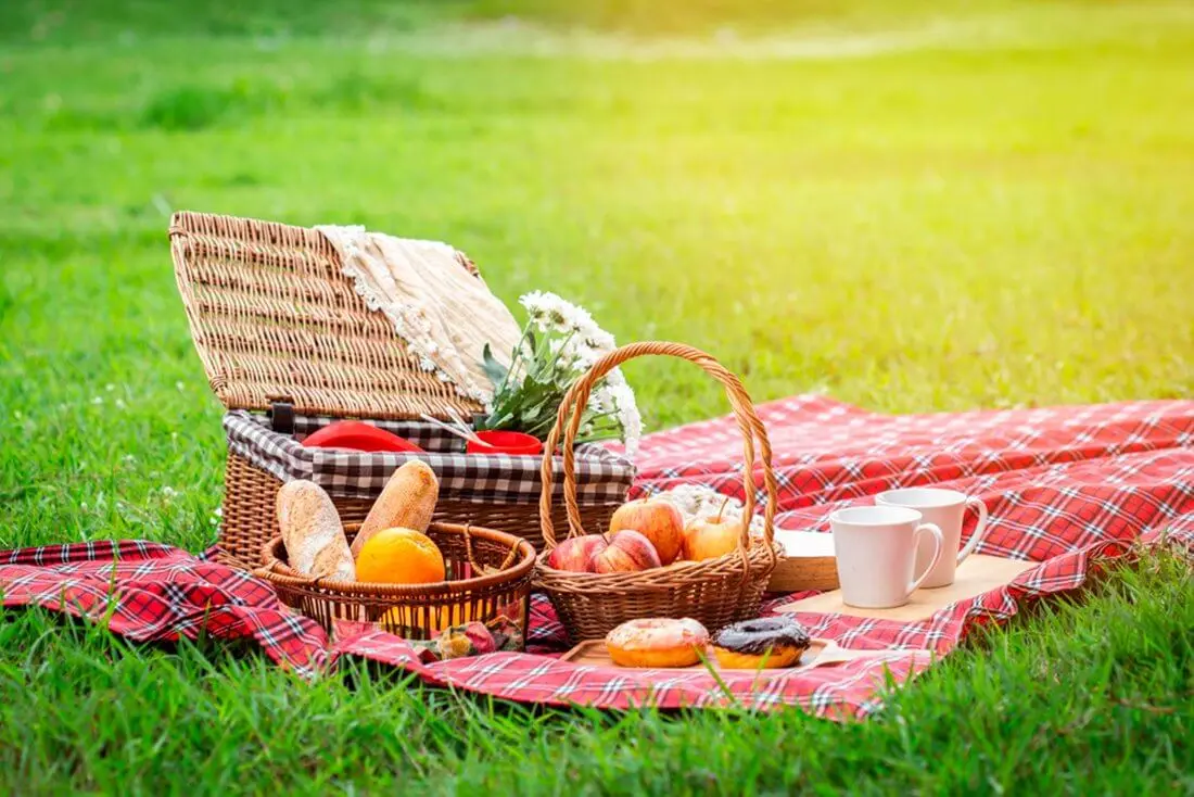 Что взять летом на пикник