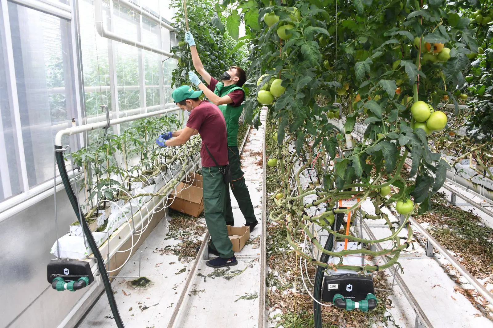 Реальные зарплаты в Казахстане впервые за 2,5 года показали падение