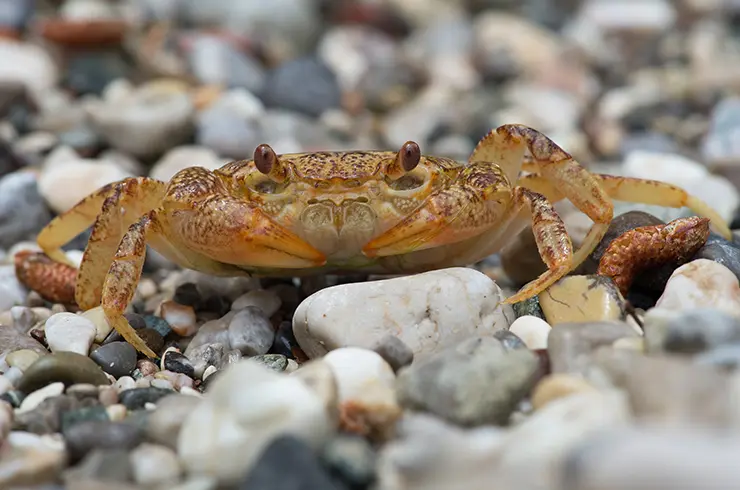 Почему окружающие тянут вас вниз и как этому противостоять