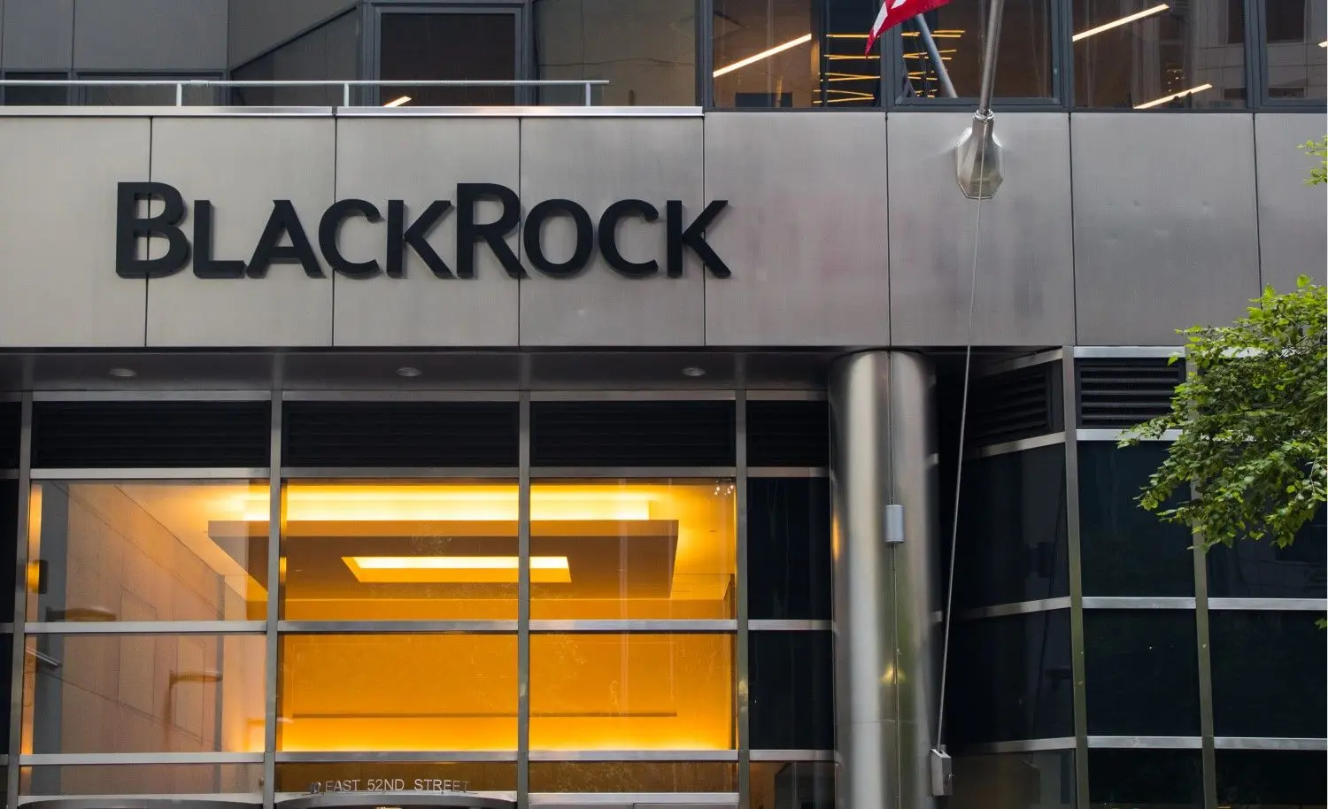 Гражданин Индии обманул BlackRock и BNP Paribas на 500 млн долларов
